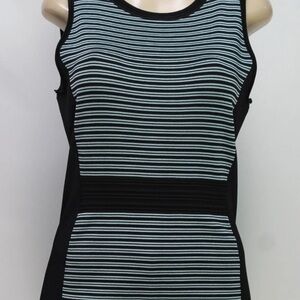 White House Black Market Black & Light Blue Striped Tank